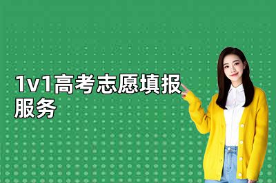 1v1高考志愿填报服务
